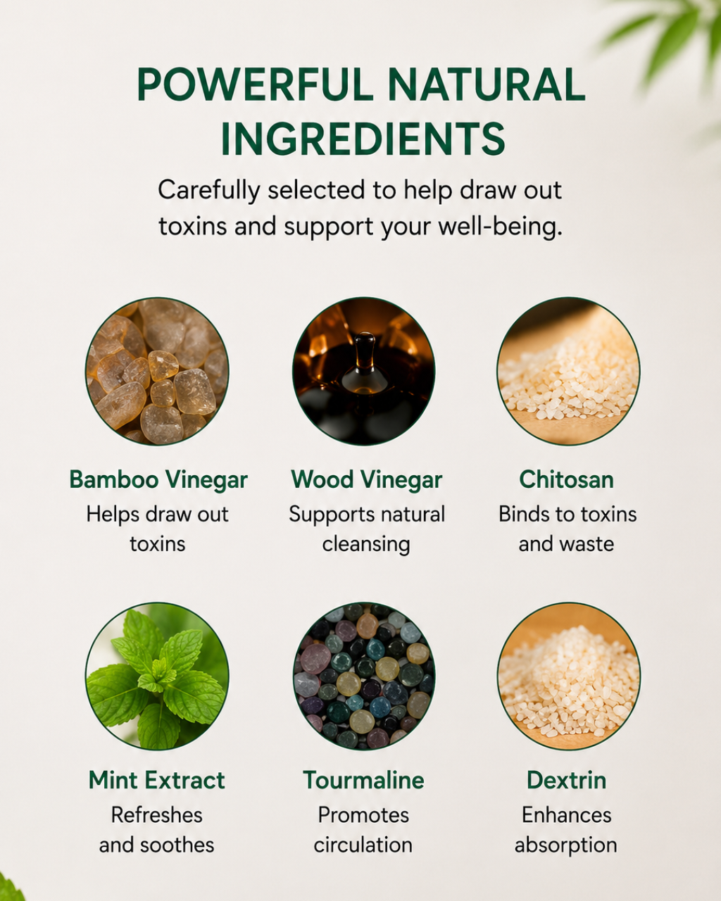 Ever Being Detox Foot Pads – Natural Overnight Cleanse